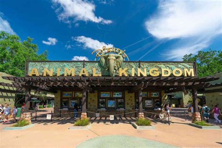 
Alleged Fugitive Captured After He Is Spotted by Off-Duty Officer as They Both Vacationed at Disney World 
