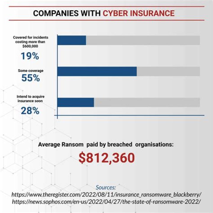 
France to develop cyber risk insurance 