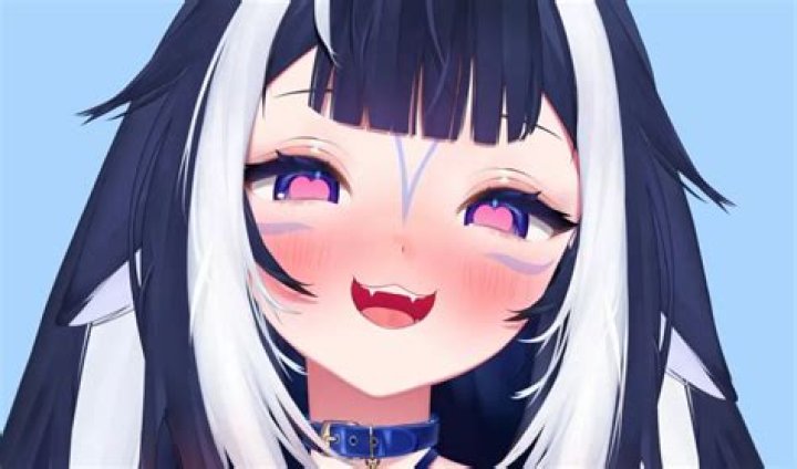 Has Shylily Revealed Her Face To The Fans? Details About The Streamer