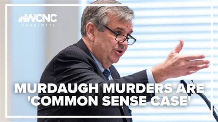 Who is John Meadors, prosecuting lawyer in Alex Murdaugh murder trial?